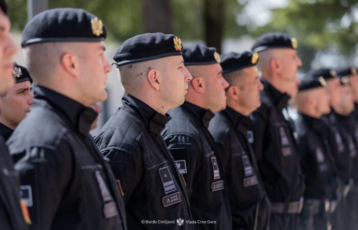 Policija (Foto: Vlada CG)