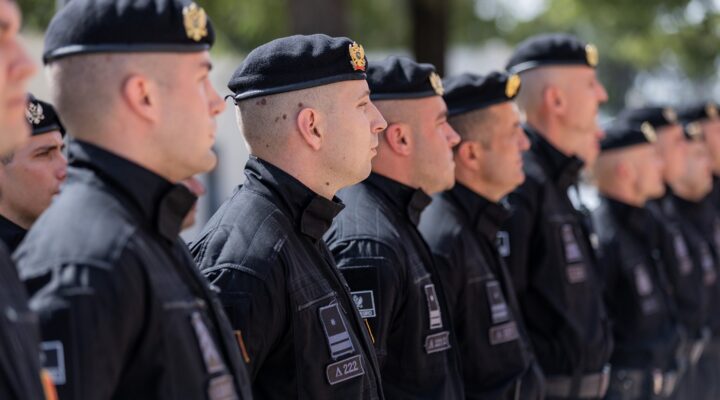 Policija (Foto: Vlada CG)